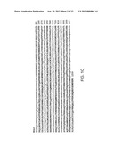 CLASS II HUMAN HISTONE DEACETYLASES, AND USES RELATED THERETO diagram and image