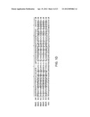 CLASS II HUMAN HISTONE DEACETYLASES, AND USES RELATED THERETO diagram and image