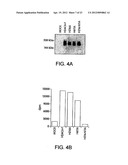 CLASS II HUMAN HISTONE DEACETYLASES, AND USES RELATED THERETO diagram and image