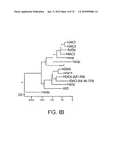 CLASS II HUMAN HISTONE DEACETYLASES, AND USES RELATED THERETO diagram and image