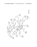 CLASS II HUMAN HISTONE DEACETYLASES, AND USES RELATED THERETO diagram and image