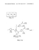 CLASS II HUMAN HISTONE DEACETYLASES, AND USES RELATED THERETO diagram and image