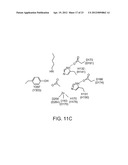 CLASS II HUMAN HISTONE DEACETYLASES, AND USES RELATED THERETO diagram and image