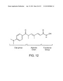 CLASS II HUMAN HISTONE DEACETYLASES, AND USES RELATED THERETO diagram and image