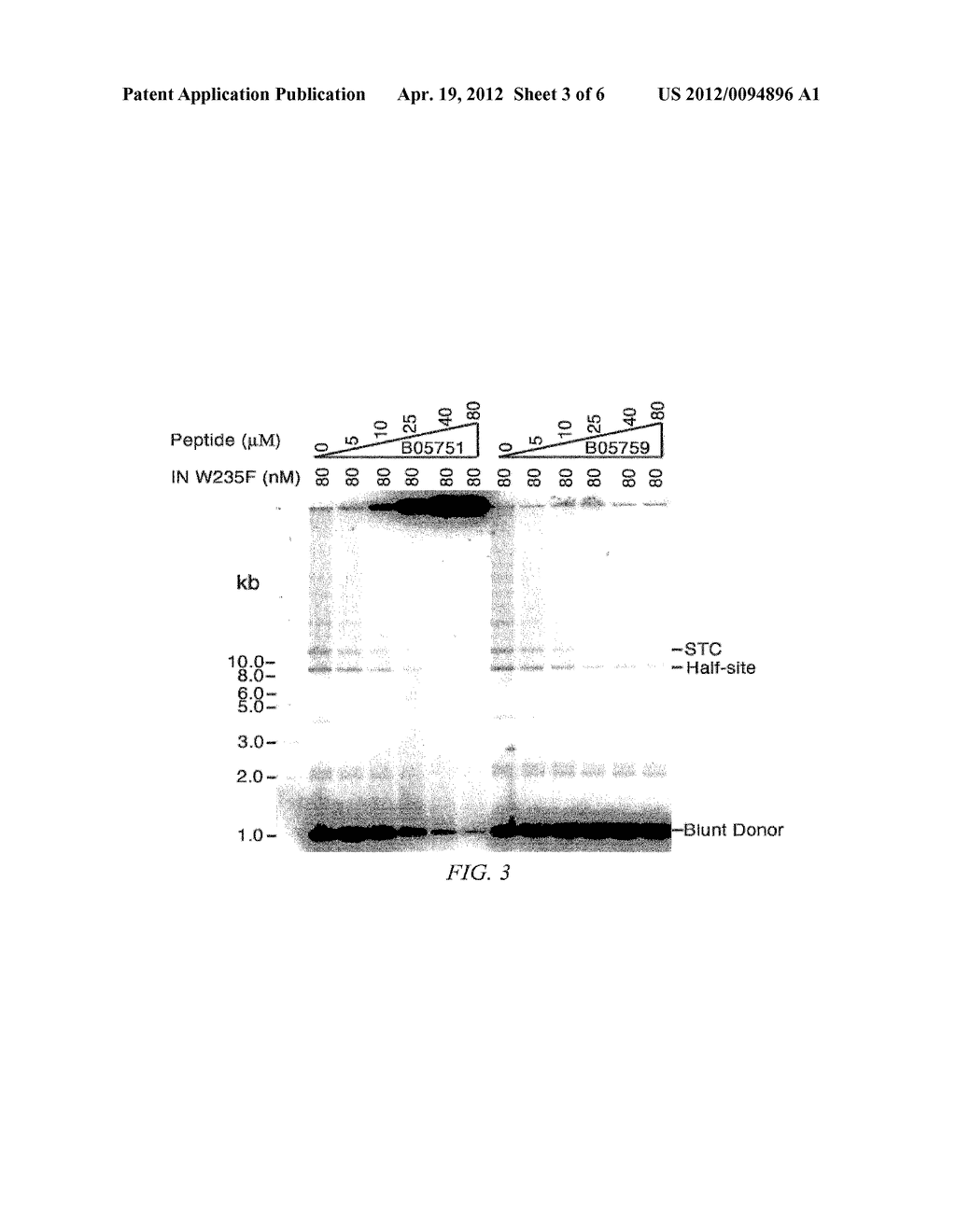 INHIBITORS OF VIRAL INTEGRASE AND METHODS OF USE - diagram, schematic, and image 04