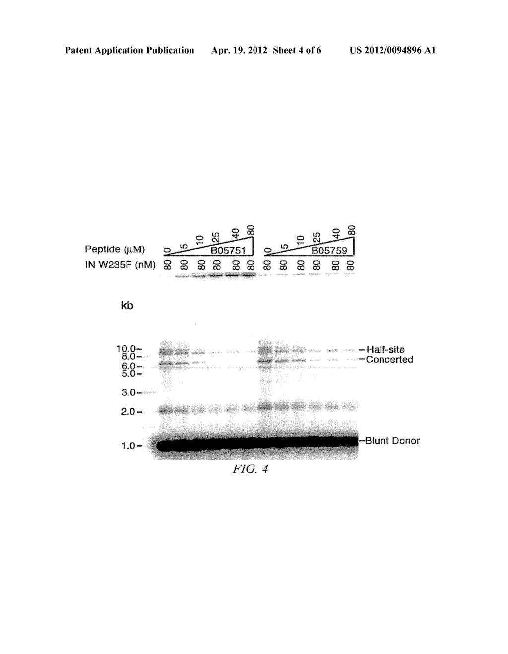 INHIBITORS OF VIRAL INTEGRASE AND METHODS OF USE - diagram, schematic, and image 05