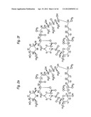 MACROCYCLIC LACTONE COMPOUNDS AND METHODS FOR THEIR USE diagram and image