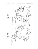 MACROCYCLIC LACTONE COMPOUNDS AND METHODS FOR THEIR USE diagram and image