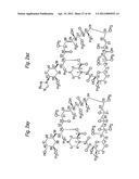 MACROCYCLIC LACTONE COMPOUNDS AND METHODS FOR THEIR USE diagram and image