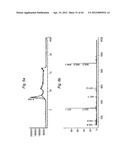 MACROCYCLIC LACTONE COMPOUNDS AND METHODS FOR THEIR USE diagram and image