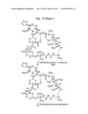 MACROCYCLIC LACTONE COMPOUNDS AND METHODS FOR THEIR USE diagram and image