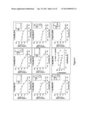 ANTI-VIRAL COMPOUNDS, COMPOSITIONS AND METHODS diagram and image