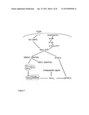  Analogous Compounds of 6-Thioguanosine Triphosphate, their use in Medical     Fields and Processes for their Preparation diagram and image