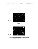 SUBSTITUTED PYRIDO [3 , 2 : 4, 5] THIENO [3, 2-D] PYRIMIDINES AND PYRIDO     [3 , 2 : 4, 5] FURO [3, 2-D] PYRIMIDINES USED AS INHIBITORS OF THE PDE-4     AND/OR THE RELEASE OF TNF-alpha diagram and image