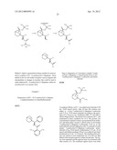 2-AZA-BICYCLO[2.2.1]HEPTANE COMPOUNDS AND USES THEREOF diagram and image