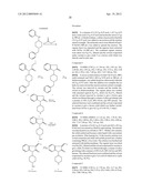 NOCICEPTIN ANALOGS diagram and image