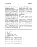 TREATMENT OF TRANSCRIPTION FACTOR E3 (TFE3) AND INSULIN RECEPTOR SUBSTRATE     2 (IRS2) RELATED DISEASES BY INHIBITION OF NATURAL ANTISENSE TRANSCRIPT     TO TFE3 diagram and image