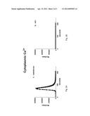 ANTIFUNGAL COMPOUNDS diagram and image