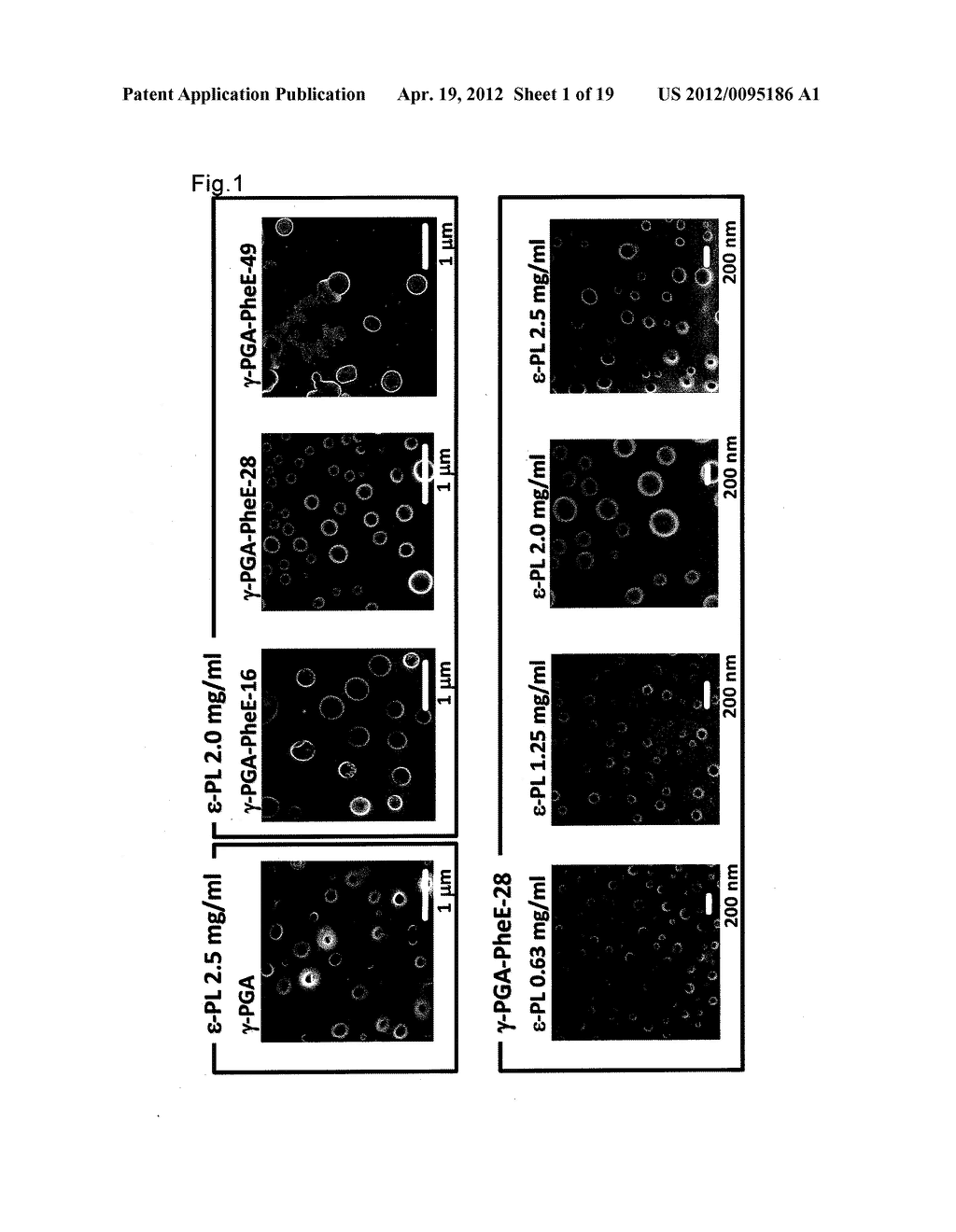 POLYION COMPLEX COMPRISING HYDROPHOBIZED POLYAMINO ACID AND USE OF THE     SAME - diagram, schematic, and image 02