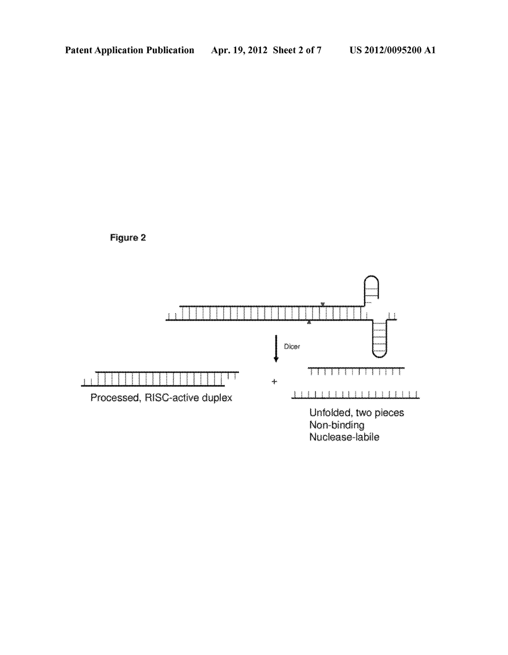 COMPOSITIONS AND METHODS FOR THE SPECIFIC INHIBITION OF GENE EXPRESSION BY     NUCLEIC ACID CONTAINING A DICER SUBSTRATE AND A RECEPTOR BINDING REGION - diagram, schematic, and image 03