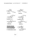 MODIFIED NUCLEOTIDES diagram and image