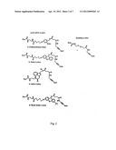 MODIFIED NUCLEOTIDES diagram and image