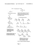 MODIFIED NUCLEOTIDES diagram and image