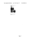 MODIFIED NUCLEOTIDES diagram and image