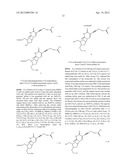 MODIFIED NUCLEOTIDES diagram and image