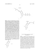 MODIFIED NUCLEOTIDES diagram and image