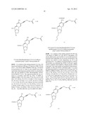 MODIFIED NUCLEOTIDES diagram and image