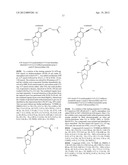 MODIFIED NUCLEOTIDES diagram and image