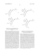 MODIFIED NUCLEOTIDES diagram and image