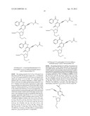 MODIFIED NUCLEOTIDES diagram and image