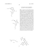 MODIFIED NUCLEOTIDES diagram and image