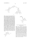 MODIFIED NUCLEOTIDES diagram and image