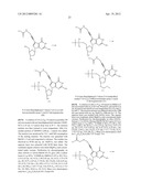 MODIFIED NUCLEOTIDES diagram and image