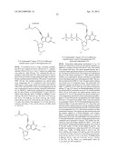 MODIFIED NUCLEOTIDES diagram and image