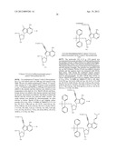 MODIFIED NUCLEOTIDES diagram and image