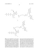 MODIFIED NUCLEOTIDES diagram and image