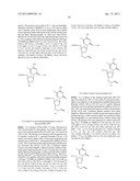 MODIFIED NUCLEOTIDES diagram and image