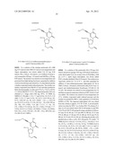 MODIFIED NUCLEOTIDES diagram and image