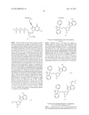 MODIFIED NUCLEOTIDES diagram and image