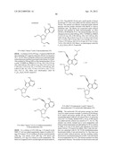 MODIFIED NUCLEOTIDES diagram and image