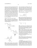 MODIFIED NUCLEOTIDES diagram and image