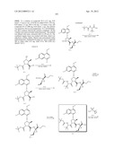 SUBSTITUTED PROLINE INHIBITORS OF HEPATITIS C VIRUS REPLICATION diagram and image