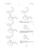 SUBSTITUTED PROLINE INHIBITORS OF HEPATITIS C VIRUS REPLICATION diagram and image