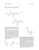 SUBSTITUTED PROLINE INHIBITORS OF HEPATITIS C VIRUS REPLICATION diagram and image