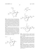 SUBSTITUTED PROLINE INHIBITORS OF HEPATITIS C VIRUS REPLICATION diagram and image