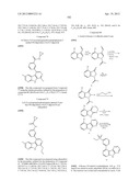 KINASE INHIBITORS diagram and image